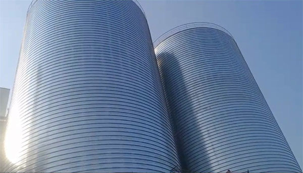 浦口2座混凝土高架卷板仓